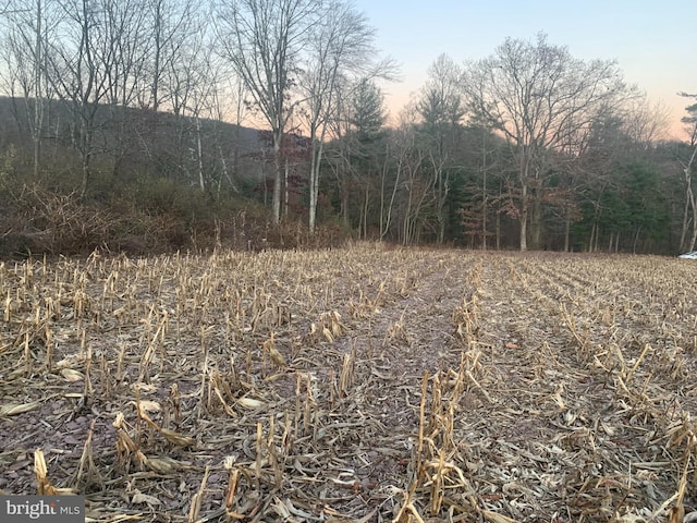 0 Stein Rd, Ashland PA, 17921 land for sale