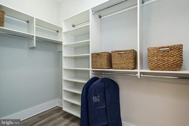 walk in closet with dark hardwood / wood-style floors