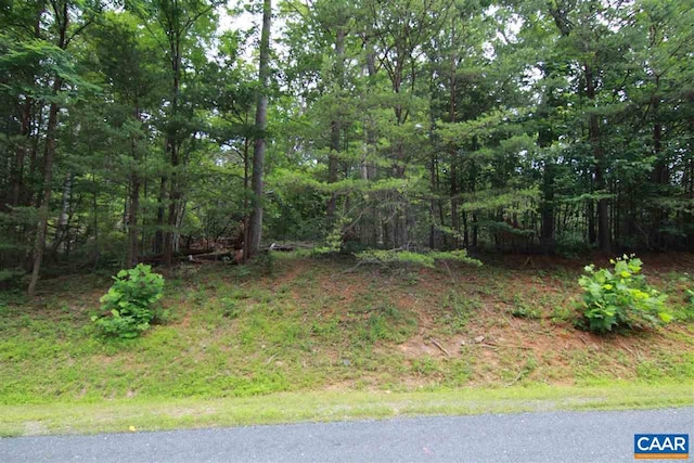 Listing photo 2 for 110 Wood Thrush Ln Unit 1I-B3Mountain, Shado, Nellysford VA 22958