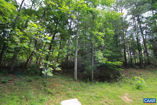 Listing photo 3 for 110 Wood Thrush Ln Unit 1I-B3Mountain, Shado, Nellysford VA 22958