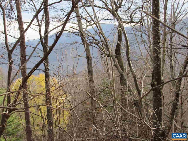 1351 Black Walnut Dr Unit 1I D44, Wintergreen VA, 22958 land for sale