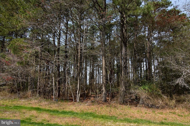 LOT862 Broadside Dr, Greenbackville VA, 23356 land for sale