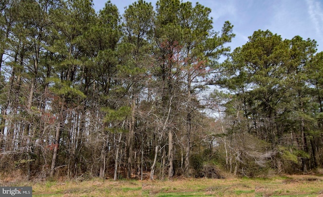 Listing photo 2 for LOT862 Broadside Dr, Greenbackville VA 23356