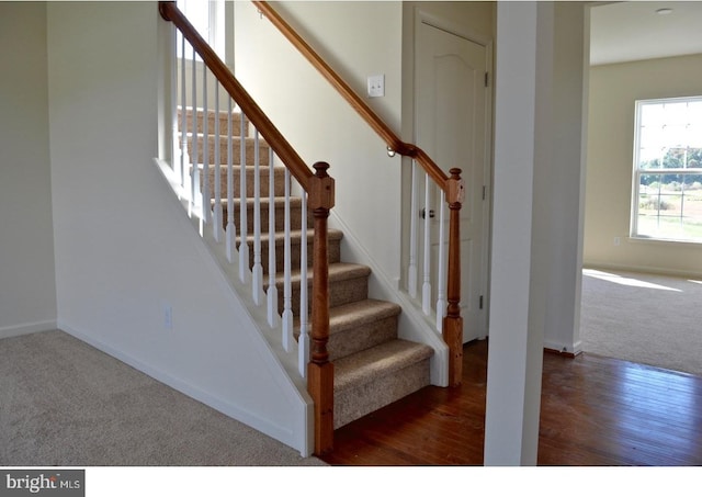 staircase with dark carpet