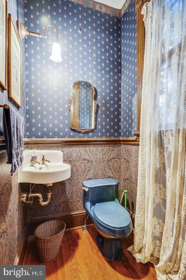 bathroom with sink, wood-type flooring, and toilet