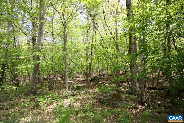 Listing photo 3 for 1247 Blue Ridge Dr Lot 41, Roseland VA 22958