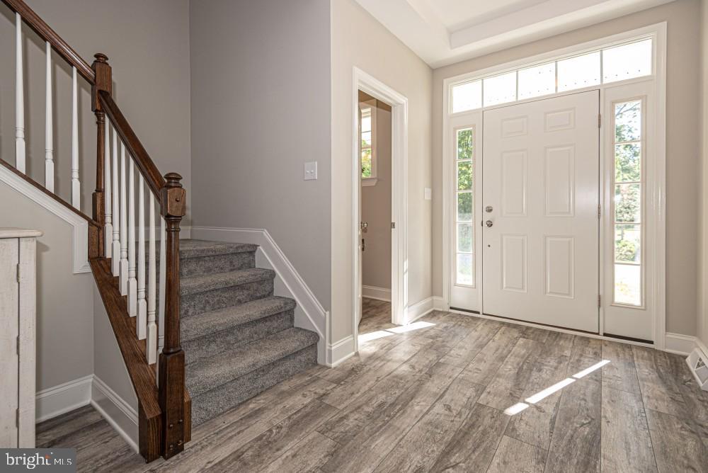 foyer entrance featuring a healthy amount of sunlight, a tray ceiling, and dark hardwood / wood-style flooring