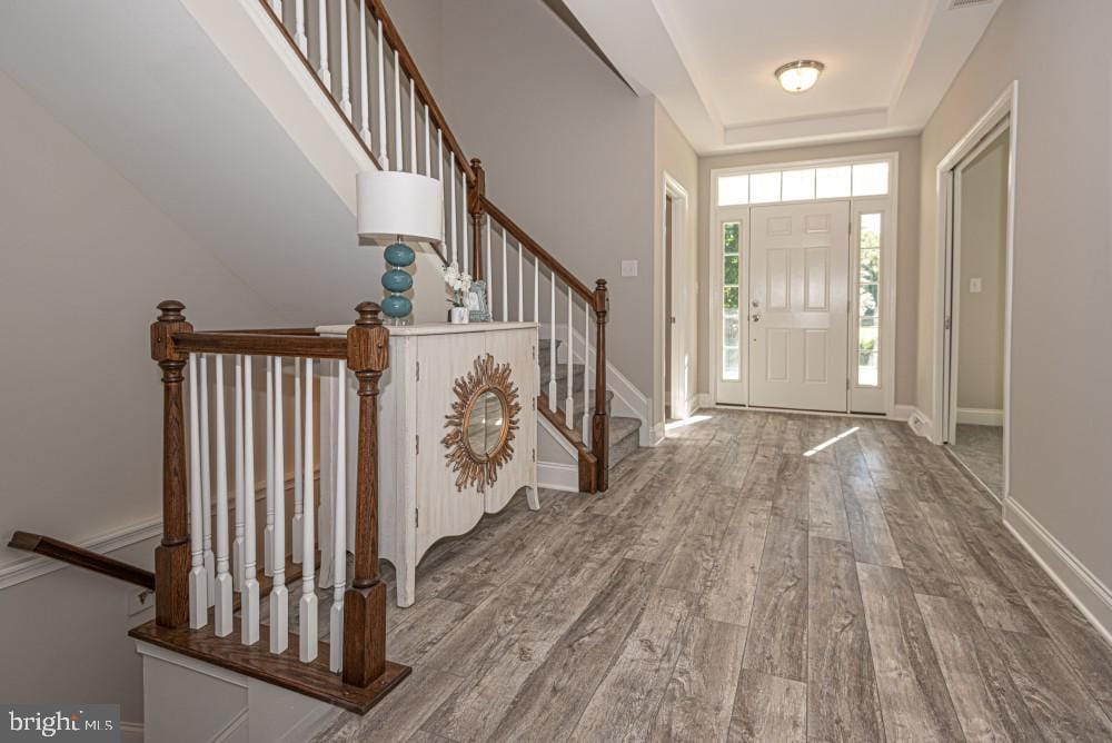 entryway featuring wood-type flooring and a tray ceiling