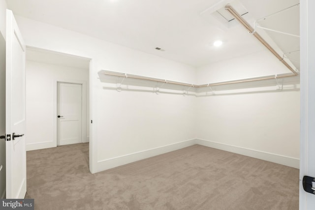 spacious closet featuring light colored carpet