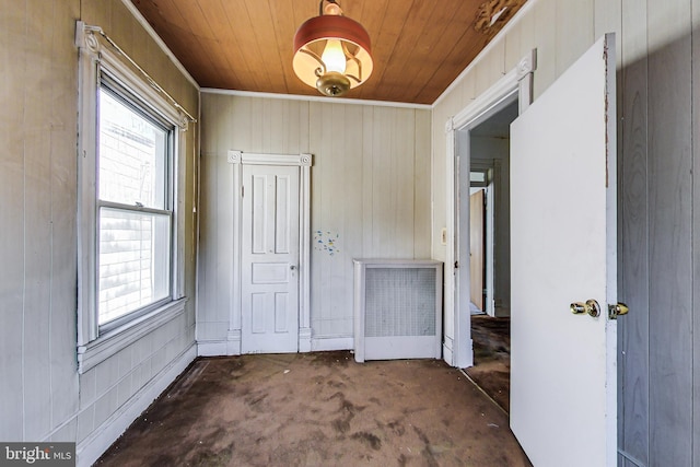 interior space featuring wooden walls, plenty of natural light, and wooden ceiling