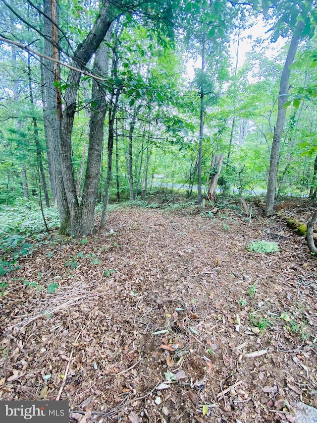 Listing photo 2 for LOT294 Cottonwood Dr, Mount Jackson VA 22842