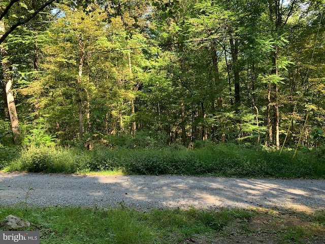 LOT17 Cacapon Retreat Ln, Great Cacapon WV, 25422 land for sale