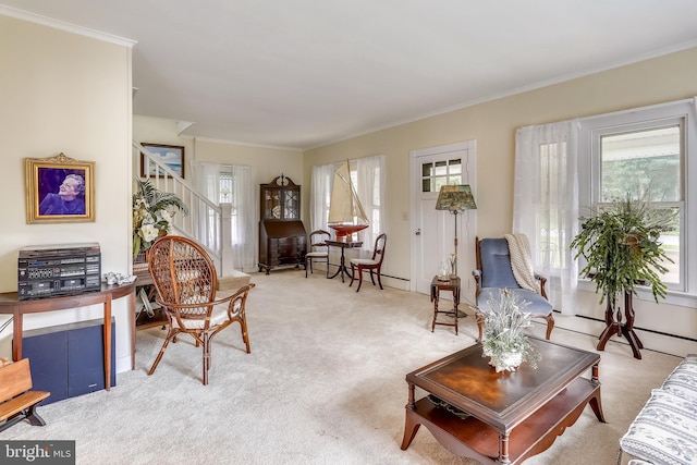 carpeted living room featuring ornamental molding and a healthy amount of sunlight