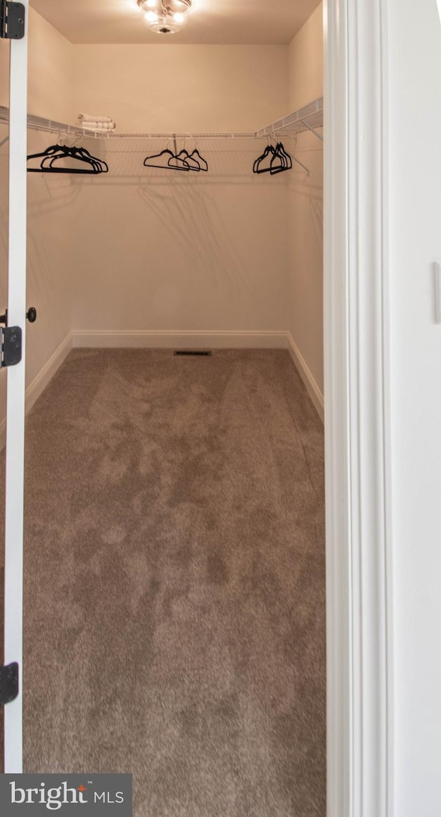 walk in closet with dark colored carpet