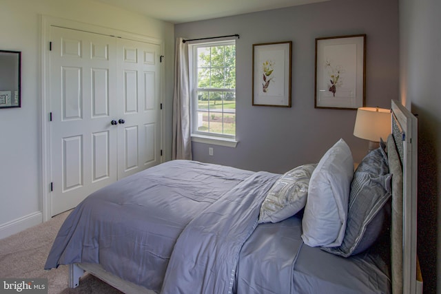 bedroom with a closet and carpet