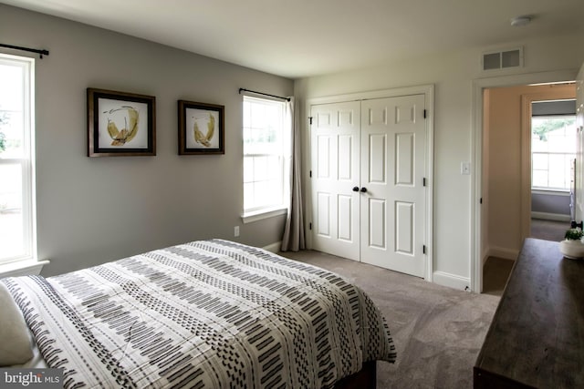 carpeted bedroom with a closet and multiple windows