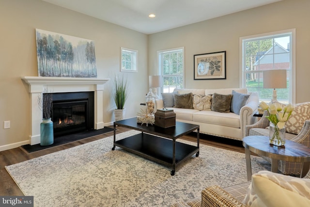 living room featuring dark hardwood / wood-style flooring