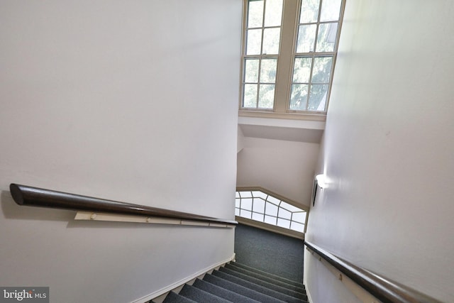 stairway with dark colored carpet