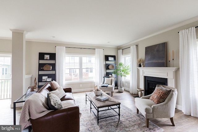 living room with ornamental molding, a healthy amount of sunlight, and light wood-type flooring