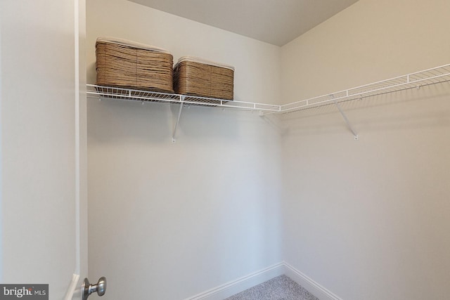 spacious closet with carpet floors