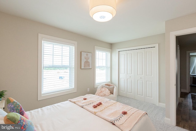 bedroom with carpet flooring and a closet