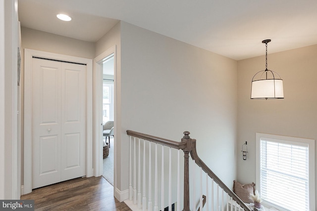 entrance foyer with plenty of natural light and dark hardwood / wood-style floors