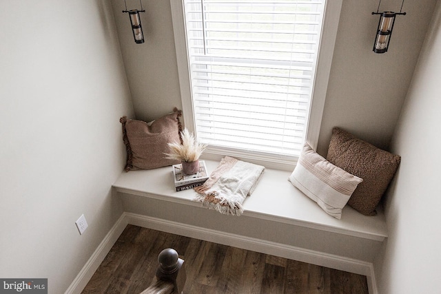 sitting room featuring hardwood / wood-style floors