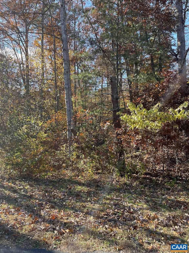 20 Chippewa Ln, Palmyra VA, 22963 land for sale