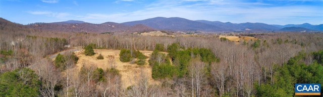 view of mountain feature