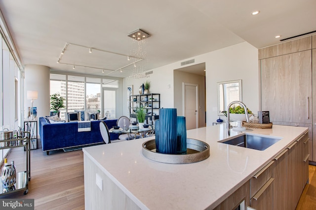 kitchen with track lighting, a center island with sink, light wood-type flooring, and a wealth of natural light