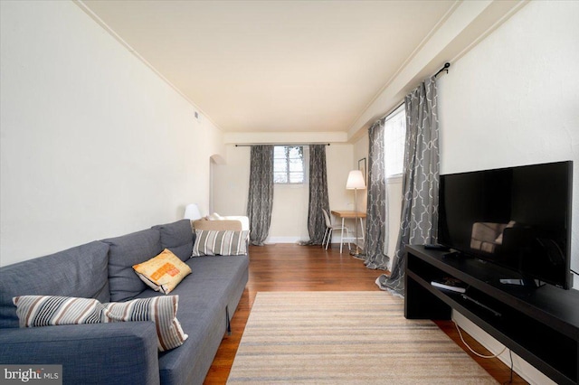 living room with crown molding and wood-type flooring