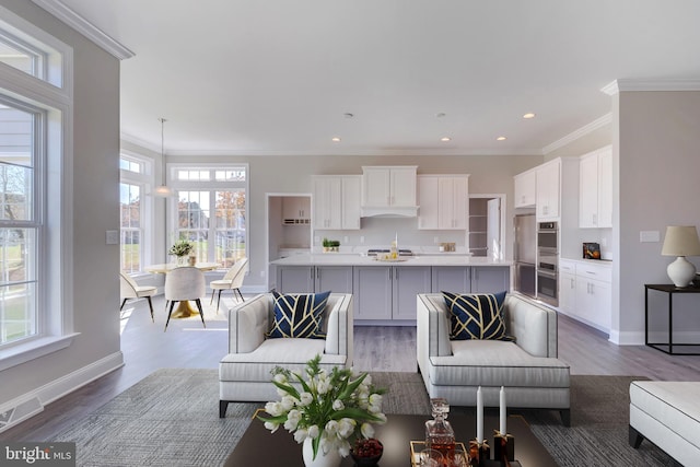 living room featuring crown molding and light hardwood / wood-style flooring