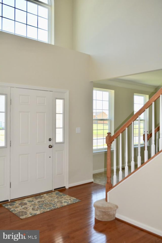 foyer entrance with a high ceiling and dark hardwood / wood-style flooring