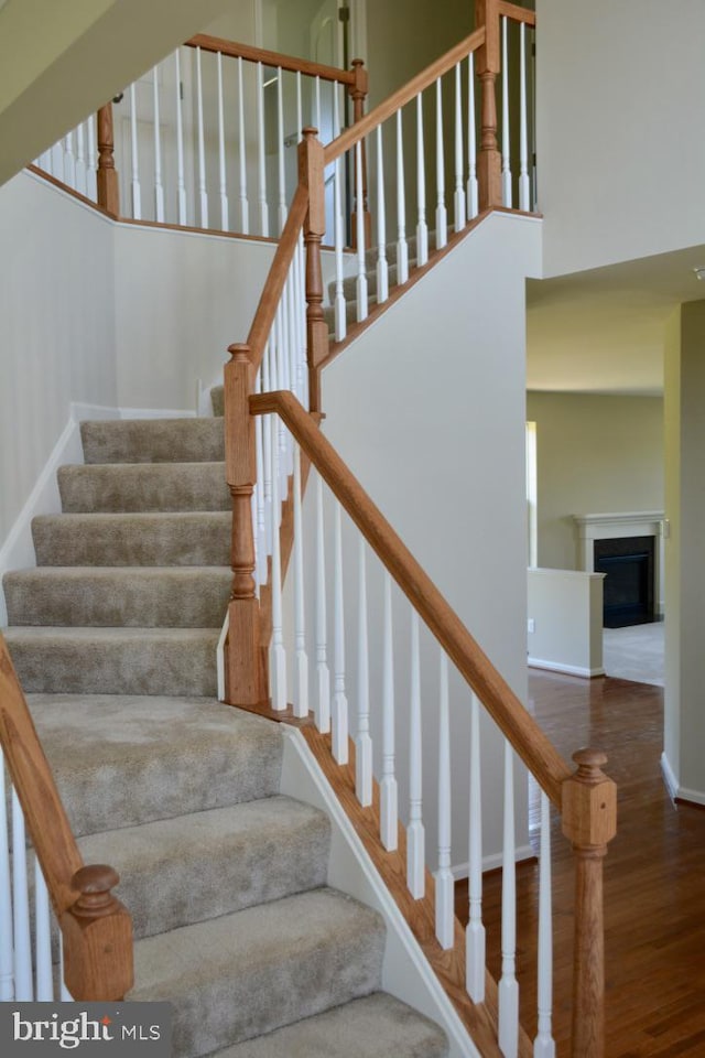 staircase with dark hardwood / wood-style floors and a towering ceiling