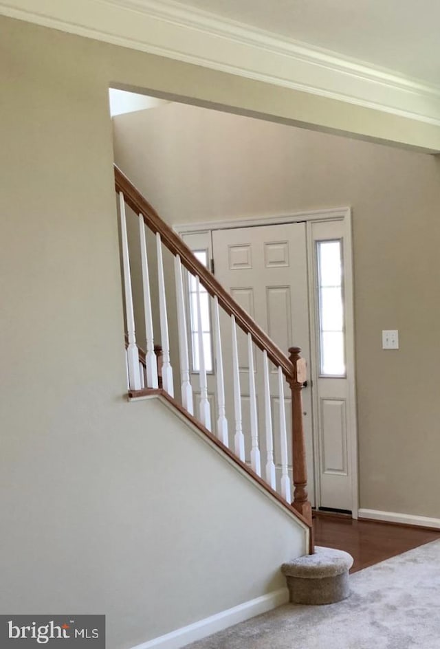 carpeted entryway featuring crown molding