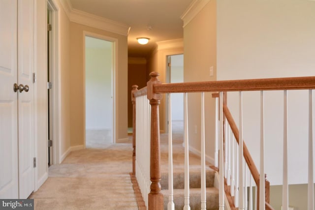 corridor with light carpet and crown molding