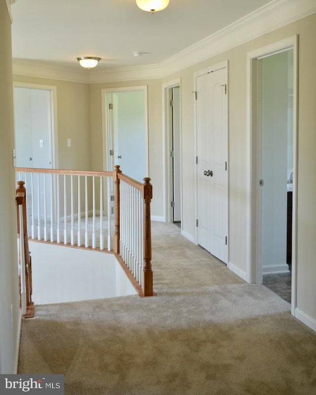 corridor with ornamental molding and light colored carpet