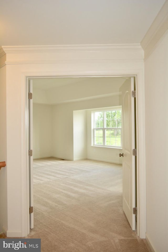 hallway with ornamental molding and light carpet