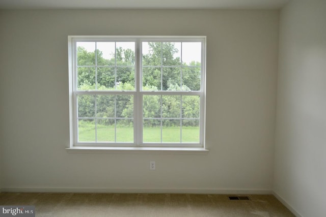 unfurnished room with a wealth of natural light and light colored carpet