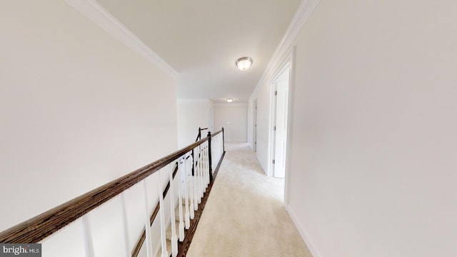 hallway featuring crown molding and light colored carpet