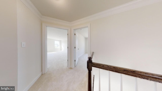 hall with ornamental molding and light colored carpet