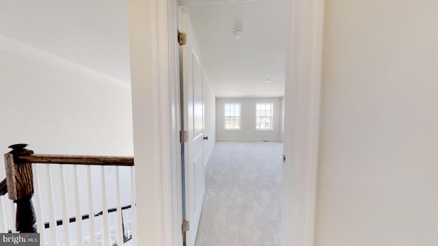 hallway featuring light colored carpet