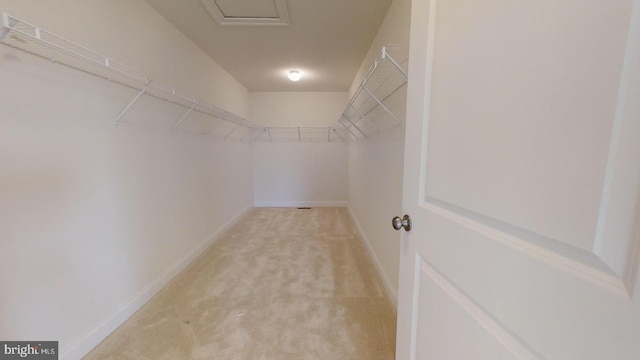 spacious closet featuring light carpet