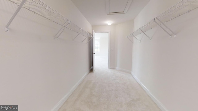 walk in closet with light carpet