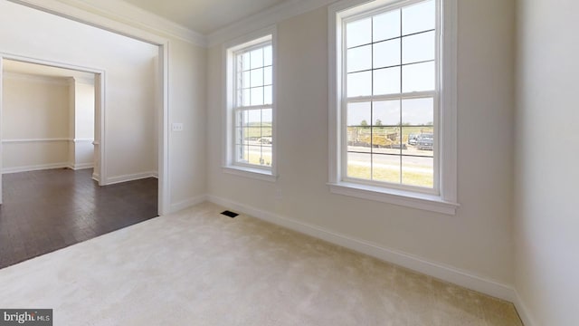 carpeted spare room featuring ornamental molding