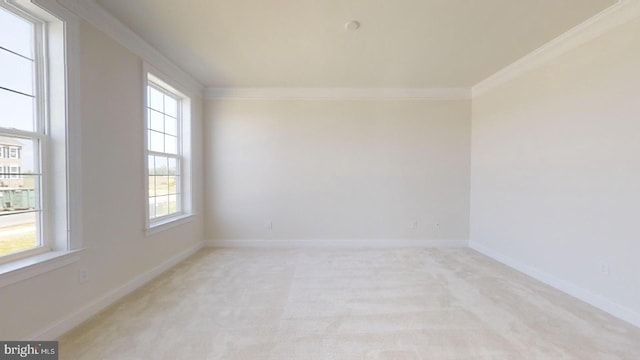 carpeted empty room featuring crown molding