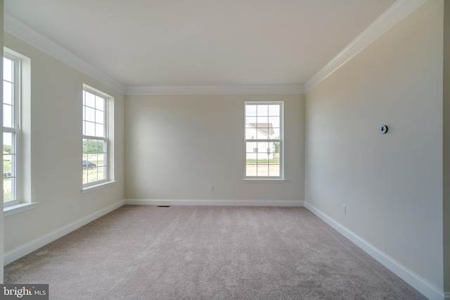 spare room with crown molding and light carpet