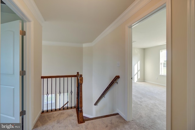 hallway with ornamental molding and light carpet