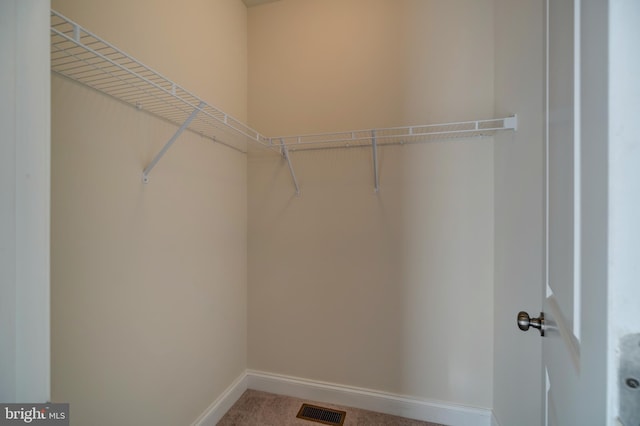 walk in closet with carpet flooring