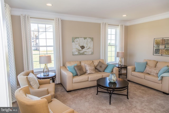 living room featuring light colored carpet and crown molding